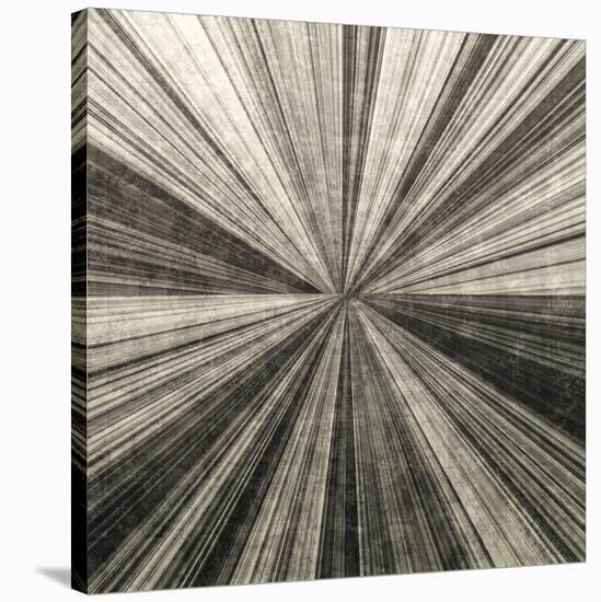 Silver Burst-Mali Nave-Stretched Canvas
