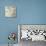 Silver Calla Lily-Jodi Maas-Premier Image Canvas displayed on a wall