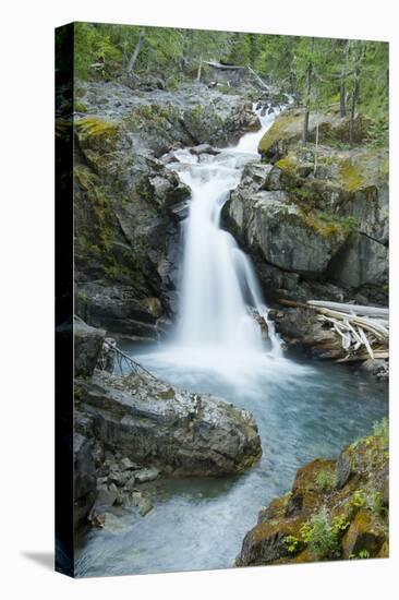 Silver Falls, Mount Rainier National Park, Washington, Usa-Michel Hersen-Premier Image Canvas