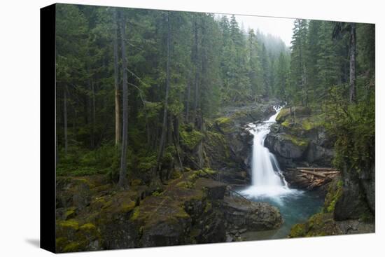 Silver Falls On The Ohanapecosh River In Mt. Rainier National Park, WA-Justin Bailie-Premier Image Canvas
