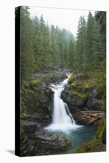 Silver Falls On The Ohanapecosh River In Mt. Rainier National Park, WA-Justin Bailie-Premier Image Canvas