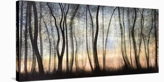 Silver Forest-Graham Reynolds-Stretched Canvas