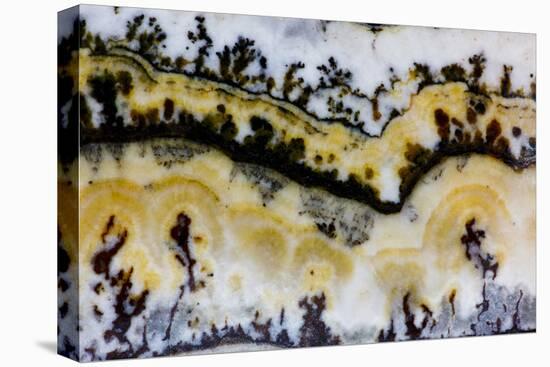 Silver Lace Onyx-Darrell Gulin-Premier Image Canvas