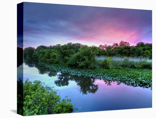 Silver Lake Nature Center, Philadelphia, Pennsylvania, USA-Jay O'brien-Premier Image Canvas