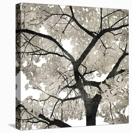 Silver Leaves-Kate Bennett-Stretched Canvas