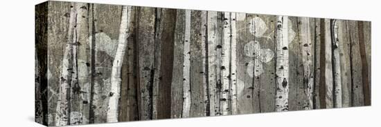 Silver Lining-Tandi Venter-Stretched Canvas