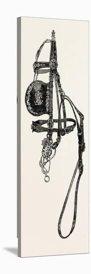 Silver Mounted Carriage Harness-null-Premier Image Canvas