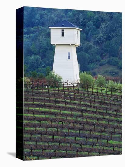 Silver Oak Cellars, Alexander Valley Wine Country, California-John Alves-Premier Image Canvas