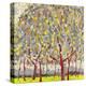 Silver Orchard-Jean Cauthen-Stretched Canvas
