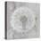Silver Parachute-Gerard Beauvoir-Stretched Canvas