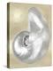 Silver Pearl Shell on Gold I-Caroline Kelly-Stretched Canvas
