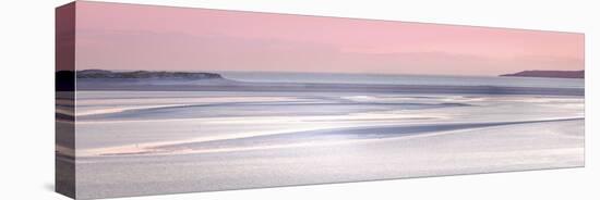 Silver Sands-Lynne Douglas-Stretched Canvas