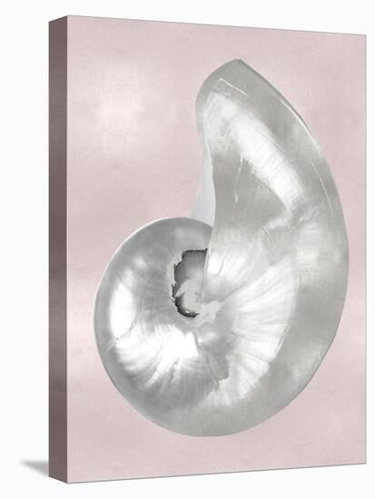 Silver Shell on Pink Blush I-Caroline Kelly-Stretched Canvas