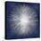 Silver Sunburst on Blue I-Abby Young-Stretched Canvas