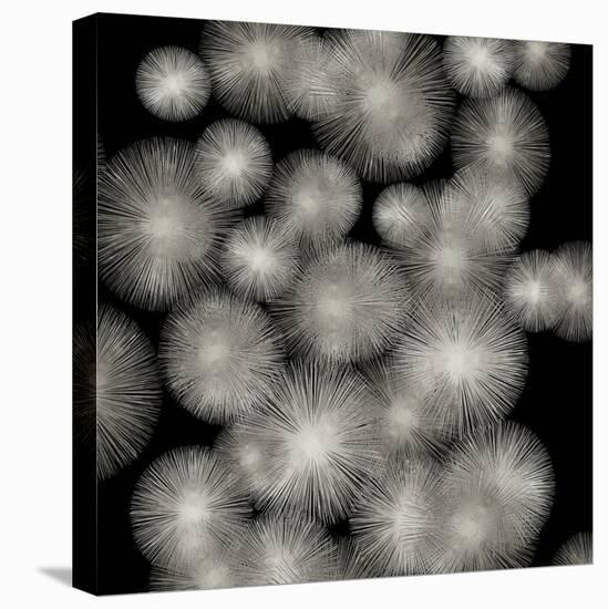 Silver Sunbursts-Abby Young-Stretched Canvas