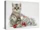 Silver Tabby Kitten with Silver Tinsel and Red Berry Christmas Decoration-Jane Burton-Premier Image Canvas