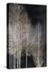 Silver Tree Silhoutte I-Kate Bennett-Stretched Canvas