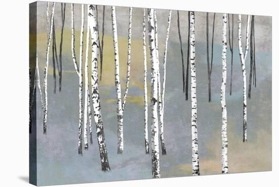 Silver Trees I-Tania Bello-Stretched Canvas