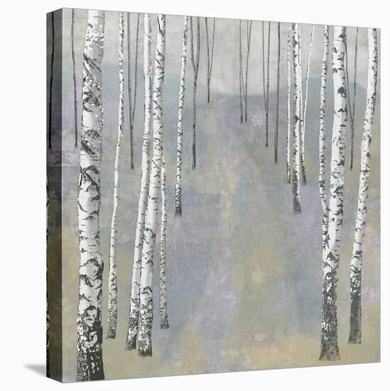 Silver Trees Path II-Tania Bello-Stretched Canvas