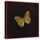 Silver Washed Fritillary Butterfly, 2000-Amelia Kleiser-Premier Image Canvas