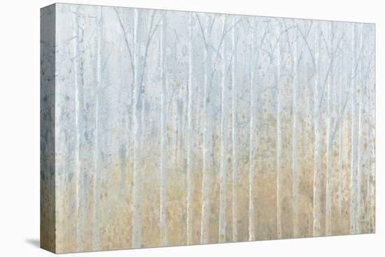 Silver Waters Crop No River-James Wiens-Stretched Canvas