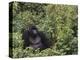 Silverback Mountain Gorilla, Amongst Vegetation, Zaire-Staffan Widstrand-Premier Image Canvas