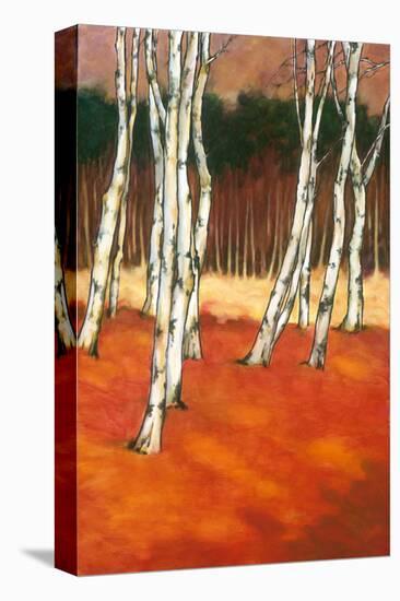 SilverBirch II-Graham Reynolds-Stretched Canvas