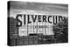 Silvercup Studios New York City-null-Stretched Canvas