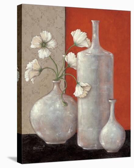 Silverleaf And Poppies II-Janet Kruskamp-Stretched Canvas