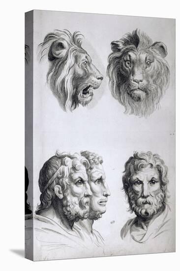 Similarities Between the Head of a Lion and a Man-Charles Le Brun-Premier Image Canvas