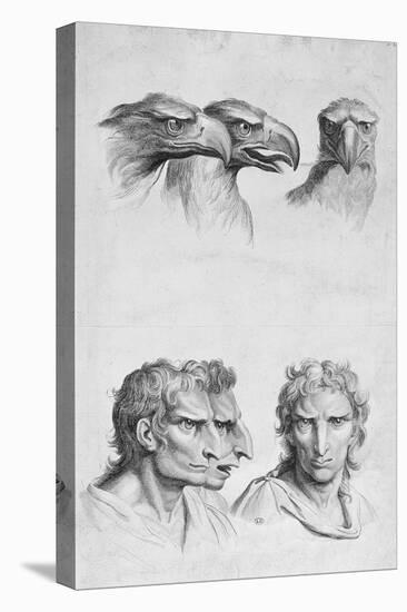Similarities Between the Head of an Eagle and a Man-Charles Le Brun-Premier Image Canvas