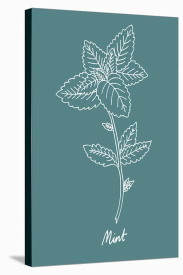 Simple Herb - Mint-Clara Wells-Stretched Canvas