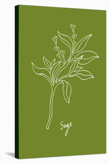 Simple Herb - Sage-Clara Wells-Stretched Canvas