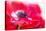 Simply Red-Jacky Parker-Premier Image Canvas