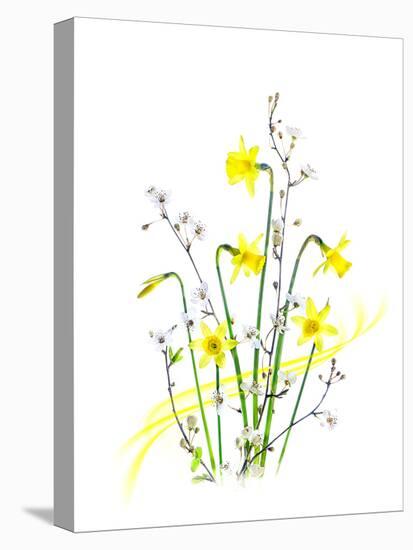 Simply Spring-Jacky Parker-Premier Image Canvas