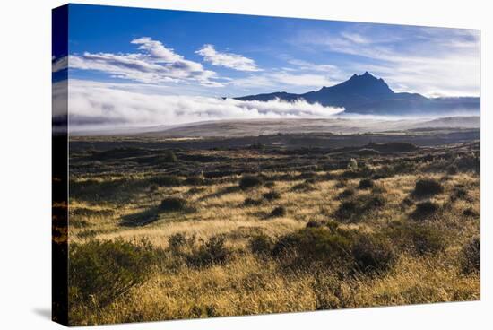 Sincholagua Volcano at Sunrise, Cotopaxi Province, Ecuador, South America-Matthew Williams-Ellis-Premier Image Canvas