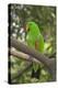 Singapore. Colorful Green Parrot-Cindy Miller Hopkins-Premier Image Canvas