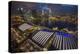 Singapore. Downtown Overview at Night-Jaynes Gallery-Premier Image Canvas