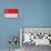 Singapore Flag Design with Wood Patterning - Flags of the World Series-Philippe Hugonnard-Stretched Canvas displayed on a wall