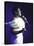 Singer Aretha Franklin Performing-David Mcgough-Premier Image Canvas