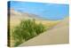 Singing Dunes, Altyn-Emel National Park, Almaty region, Kazakhstan, Central Asia, Asia-G&M Therin-Weise-Premier Image Canvas