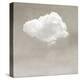 Single Cloud, 2024-Jesse Carter-Stretched Canvas