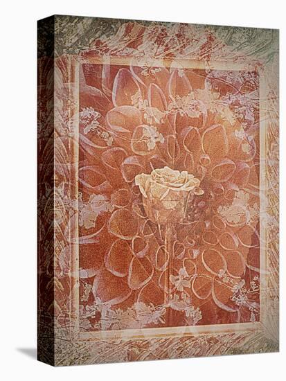 Single Rose in Earthy Colors Vintage Style in Frame, Photographic Layer Work-Alaya Gadeh-Premier Image Canvas