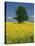 Single Tree in a Field of Oil Seed Rape in Flower Near Pontivy in Brittany, France, Europe-Michael Busselle-Premier Image Canvas