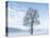 Single Tree in Snow-Covered Winter Scenery, Bavarians, Germany, Euroa-P. Widmann-Premier Image Canvas