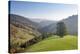 Single tree on hill, Wiedener Eck, Black Forest, Baden-Wurttemberg, Germany-Markus Lange-Stretched Canvas