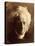 Sir John Herschel, 1867-Julia Margaret Cameron-Premier Image Canvas