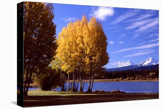 Sisters in Autumn III-Ike Leahy-Premier Image Canvas