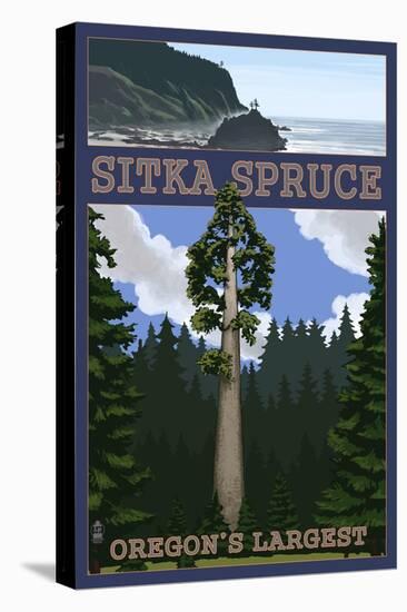 Sitka Spruce - Oregon's Largest - Oregon Coast-Lantern Press-Stretched Canvas