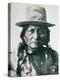 Sitting Bull-null-Premier Image Canvas